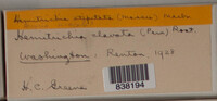 Image Associated With the Occurence